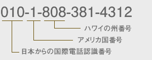 NTT一般加入電話の場合 （010-1-8-8-381-4312）