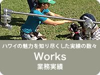業務実績（Works）