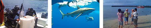 Oahu　NTV　世界の果てまでイッテQ（水族館)　TV Shoot Coordination 制作